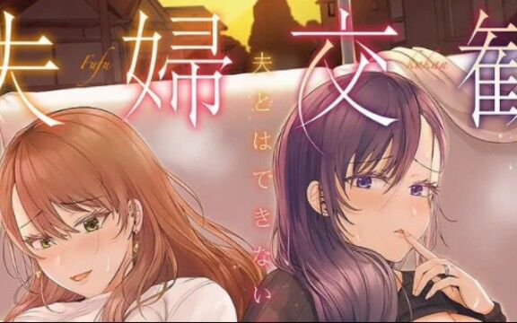 【里番】夫妻联欢，回不起去的夜晚【度盘/320M】