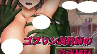 【RPG/AI汉化/PC】哥布林调教师的培育秘录 v1.01  ゴブリン調教師の育成秘録【度盘/649M】