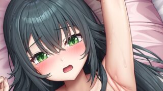 【L2D同人动画/有修正】lambda 大佬合集至25.5 【度盘/25G】