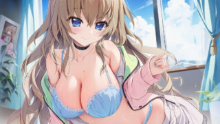 【番剧】支配者的王冠 【磁链/更新至08】