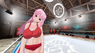 【3D生肉】二次元虚拟现实战姬 v1.5.0 Hentai Fighters VR 【度盘326M】