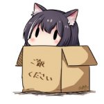 bi佳小
