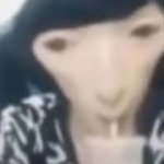 蕾顺米